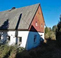 EFH Ren. u. San. bedürftig mit 3500qm Grundstück - Oppach