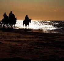 Polnische Ostsee Baugrundstücke in der Nähe von Pobierierowo - Bergkamen