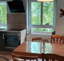 schöne ruhige Wohnung mit Blick ins Grüne - Chemnitz Rabenstein