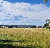 Helle 2-Zimmer-Wohnung mit Balkon + Küche in Detmold-Pivitsheide