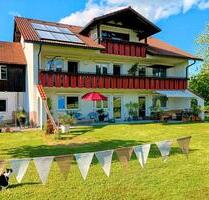 Winterferien im WestallgäuBodenseeregion, Ferienwohnung Felix - Hergatz