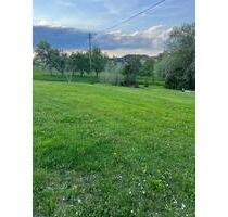 Grünland zum verpachten - 300,00 EUR Kaltmiete, ca.  0,00 m² in Eigeltingen (PLZ: 78253)