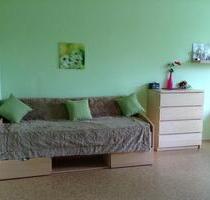 Wohnung ab 15.12. zu vermieten - 850,00&nbsp;EUR Kaltmiete, ca.&nbsp; 30,00&nbsp;m&sup2; in Berlin (PLZ: 10369) Lichtenberg