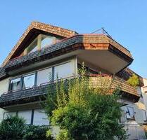 helle ruhige 3,5 Zimmerwohnung mit Südbalkon, Kamin, Garage - Ditzingen