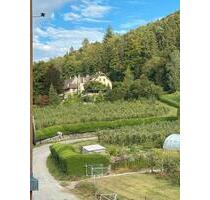3-Zimmer-Wohnung - 590,00 EUR Kaltmiete, ca.  78,00 m² in Sulz am Neckar (PLZ: 72172)