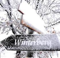 Ferienwohnung Winterberg -Stadt