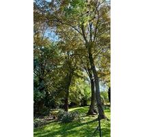 Traumhafte 4-Zimmer-Neubauwohnung mit Garten & Tiefgarage - Magdeburg Leipziger Straße