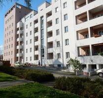 Sehr geräumige 2-Zimmer-Wohnung mit Balkon - Dresden Blasewitz