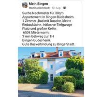 Wohnung in Bingen - Büdesheim - 650,00 EUR Kaltmiete, in Bingen am Rhein (PLZ: 55411)
