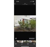 Wohnung in Pleidelsheim - 1.150,00 EUR Kaltmiete, in Freiberg am Neckar (PLZ: 71691)