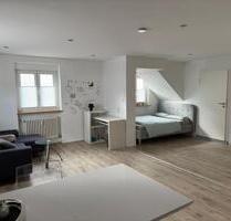 Schöne 1-Zimmerwohnung zu vermieten - Lahr (Schwarzwald)