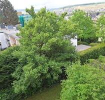 Wohnung in Bad Neuenahr - 520,00 EUR Kaltmiete, ca.  41,00 m² in Bad Neuenahr-Ahrweiler (PLZ: 53474)
