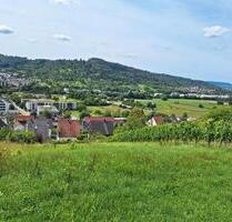 Wiesengrundstück - 2.500,00 EUR Kaltmiete, ca.  0,00 m² in Remshalden (PLZ: 73630)