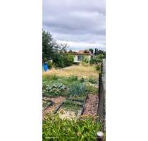 Garten abzugeben - 1.500,00 EUR Kaltmiete, ca.  0,00 m² in Heidenau (PLZ: 01809)