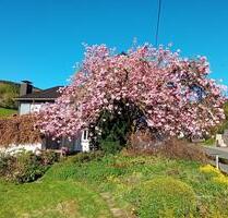 Ferienwohnung am Rothaarsteig - 90,00 EUR Kaltmiete, in Hilchenbach (PLZ: 57271)