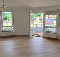 Schöne 1-Raum-Wohnung in Ruhigerlage mit EBK im Erdgeschoss - Glauchau