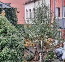 2,5 Zi-Whg, zentral, ruhig, Süd-Balkon - Nürnberg Eberhardshof