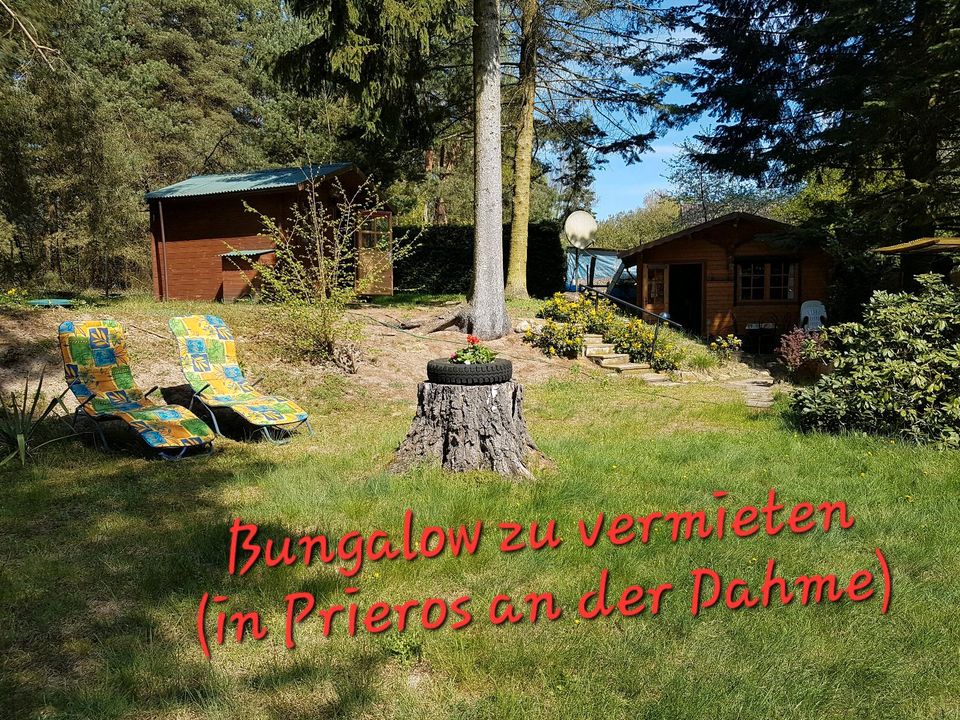 Bungalow zu vermieten, Wassernähe, Urlaub mit Hund, Dahmezugang - Heidesee