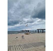 Ostsee Usedom Stornierung frei vom 2.8. bis 17.8. FH mit Hund - Benz