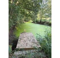 Fischteiche zu verpachten, Teich Pacht Wienhausen bei Celle