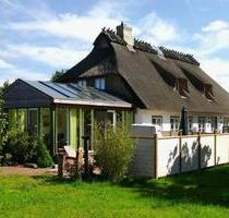 Ferienhaus Ostsee Schlei Sauna Kamin 8 Personen Hunde Garten - Rabenkirchen-Faulück