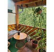 Helle 3 Zimmer Wohnung mit Balkon - Gorxheimertal