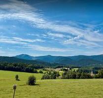 Wohnung in traumhafter Lage - 369,00&nbsp;EUR Kaltmiete, ca.&nbsp; 57,50&nbsp;m&sup2; in Lohberg (PLZ: 93470)