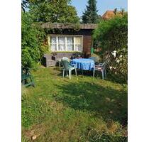 Garten in einer Kleingartenanlage - Wettin-Löbejün
