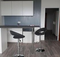 Möbelierte 1 Zimmer Wohnung in Frankentahl - Frankenthal (Pfalz)