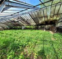GrünflächeOrangerie - 250,00 EUR Kaltmiete, ca.  0,00 m² in Neu-Isenburg (PLZ: 63263)