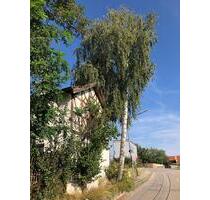 Geräumiges Zimmer in Ergoldsbach mit Gemeinschaftsküche, Bad und Gartenanteil