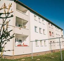 Ab Dezember! - 320,00 EUR Kaltmiete, ca.  39,62 m² in Prenzlau (PLZ: 17291)