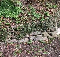 Kleines Haus am Wald zu vermieten - Plettenberg