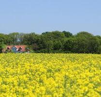 Ferienwohnung 5 Herrenhaus Nobbin Insel Rügen Ostsee Kap Arkona - Dranske