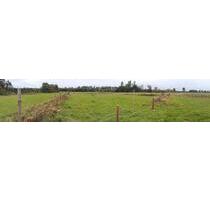 verpachte Wiese zum mähen - 130,00 EUR Kaltmiete, ca.  0,00 m² in Baesweiler (PLZ: 52499)