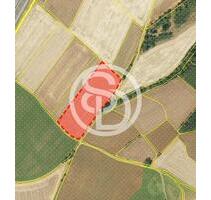 Landwirtschaftlich genutzte Fläche - ca. 12.260 m² - in unmittelbarer Nähe der Bundesautobahn A9 - Berg