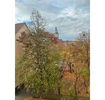 Gemütliche 1Raum Wohnung - 265,00 EUR Kaltmiete, in Finsterwalde (PLZ: 03238)