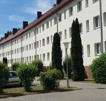 1 Zimmerwohnung Nähe Rosengarten - Forst (Lausitz)