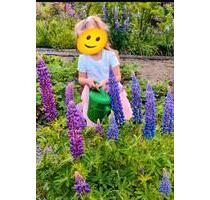 traumhafter Garten - 500,00 EUR Kaltmiete, ca.  0,00 m² in Schwarzenberg/Erzgebirge (PLZ: 08340)