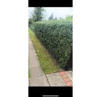 Schrebergarten - 4.300,00 EUR Kaltmiete, ca.  0,00 m² in Northeim (PLZ: 37154)