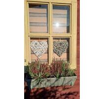 Kleingarten Grundstück Pachtgarten - Oederan