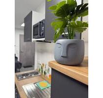 Ruhige Apartments Ferienwohnungen an der Donau - Munderkingen