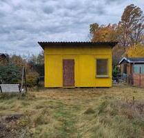 Letzte Chance! - Kleingarten mit Laube in Chemnitz-Bernsdorf