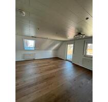 1-Zimmer-Wohnung in Nagold-Vollmaringen - Horb am Neckar