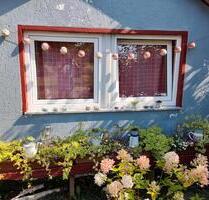 Kleingarten in der KGA Weiße Rose Südstadt - Papendorf
