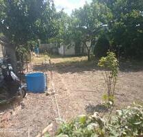 Gärten zu verpachten - 400,00 EUR Kaltmiete, ca.  0,00 m² in Magdeburg (PLZ: 39128) Großer Silberberg