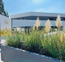 Exklusiv betreut Wohnen am Kapellenberg! Modernes 2-Zi. Apartment mit Balkon in Westausrichtung! - Hofheim am Taunus