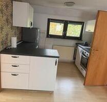 Wohnung zu vermieten - 1.000,00 EUR Kaltmiete, in Sinsheim (PLZ: 74889)