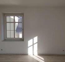 ***1 Monat Kaltmietfrei*** Charmantes 1-Zimmer-Apartment in Glauchau