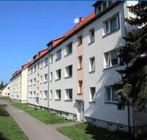 4,5 Zi. Wohnung in Waldheim-Rudelsdorf zu vermieten